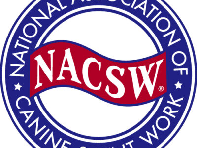 NACSW Trial Kit - Replacement Cut Foam